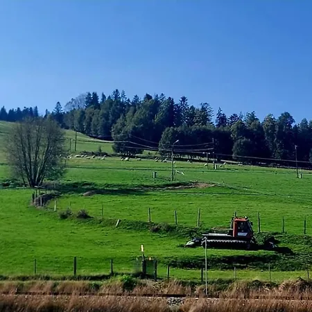 25 By Bonzapart Wisła