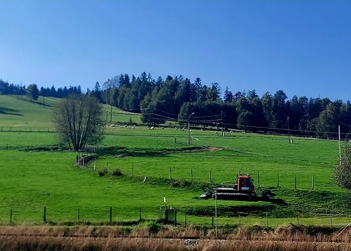 25 By Bonzapart ויסלאו